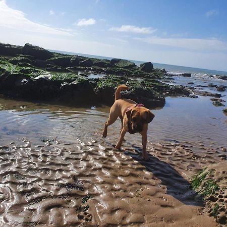 Beautiful Apartment 2 Mins To The Beach St Leonards-on-Sea Exteriör bild