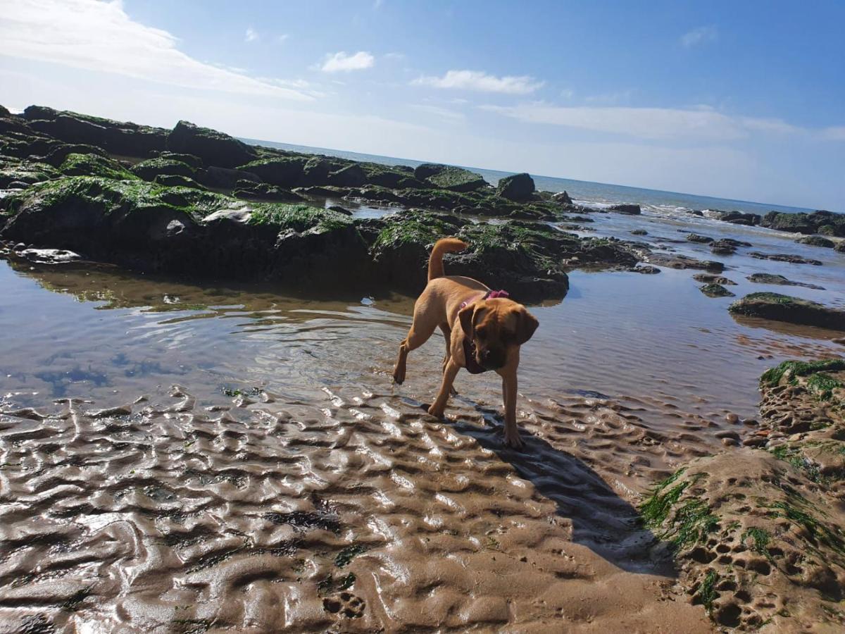 Beautiful Apartment 2 Mins To The Beach St Leonards-on-Sea Exteriör bild